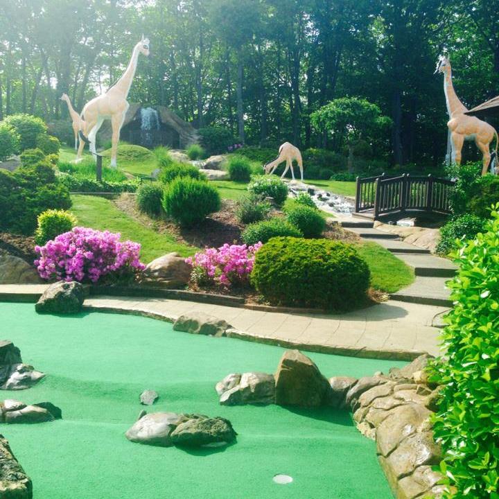 Safari Golf Visit CT